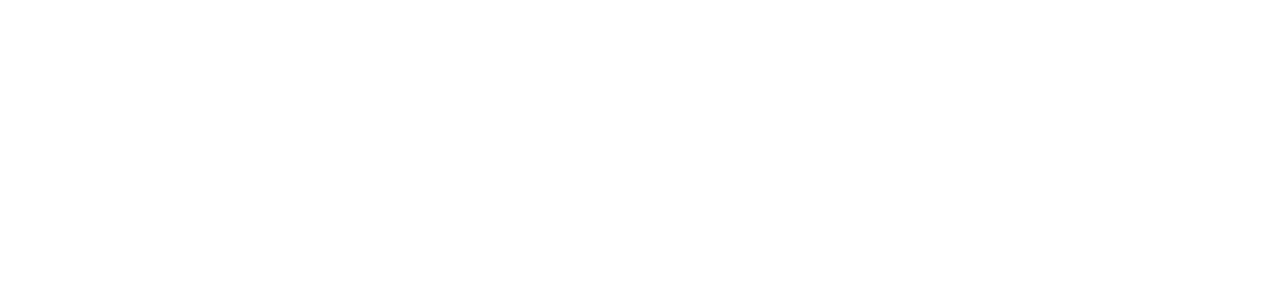 P1 Investment Management